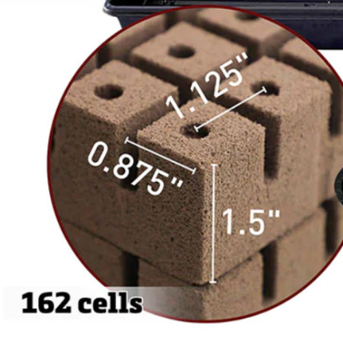 Oasis_rootcubes_5005_3